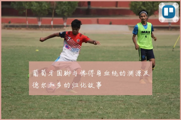 葡萄牙国脚与佛得角血统的渊源及德尔加多的归化故事