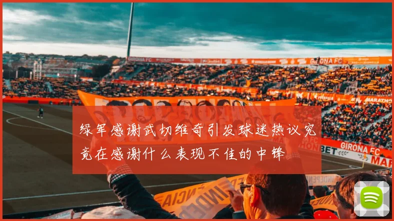 绿军感谢武切维奇引发球迷热议究竟在感谢什么表现不佳的中锋