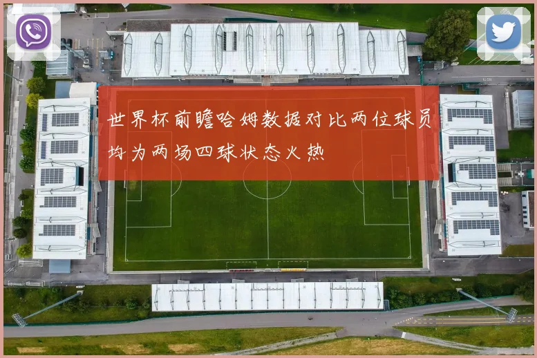 世界杯前瞻哈姆数据对比两位球员均为两场四球状态火热